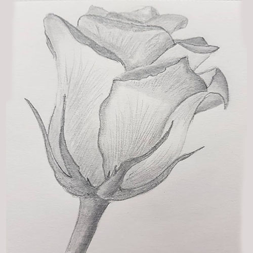 Student Sketching Work Project 5